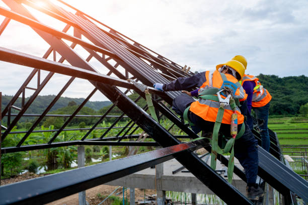 Best Roof Gutter Cleaning  in Wanamingo, MN
