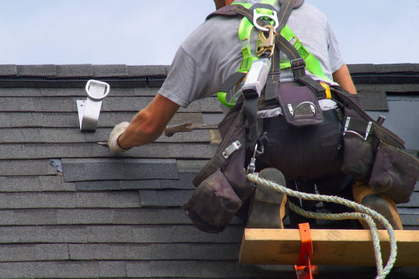 Best Roof Repair Services  in Wanamingo, MN